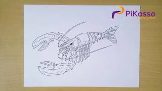How to Draw Lobster step by step