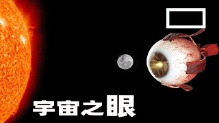 震撼！人的眼睛本不應該存在？原來背後隱藏著【宇宙之眼】  #宇宙之謎 #眼睛的秘密 #人類進化