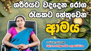 ශරීරයට වදදෙන රෝග රැසකට හේතුවෙන ආමයreason for many illness in your body