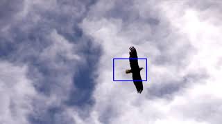 Object tracking using meanShift algorithm - OpenCV