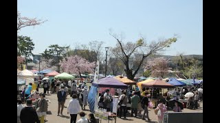 平安楽市(2022年4月8〜9日)