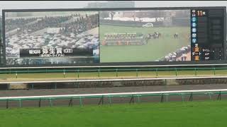 ファンファーレ｜中山競馬場（関東）｜重賞レース｜第56回報知杯弥生賞(GⅡ)｜優勝馬：メイショウテンゲン　#Shorts