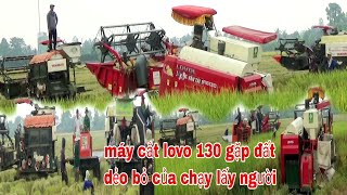 QUAY MÁY CẮT LÚA LOVO 130 LẦY ĐẤT DẺO PHẢI BỎ CỦA CHẠY LUÔN