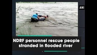 NDRF personnel rescue people stranded in flooded river  - Himachal Pradesh #News