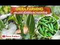 Detailed Guide on Okra Farming