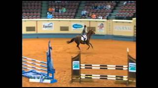 2011 AQHA Jumping World Champion