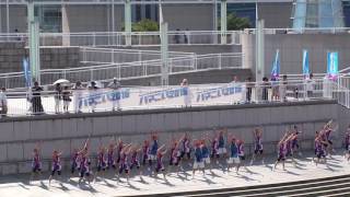 ハマこい2016 横浜創英中学高等学校 ダンス部