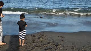 2019年の津久井浜で海水浴２