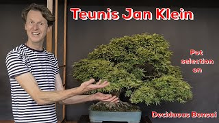 Pot selection on Deciduous Bonsai Teunis Jan Klein