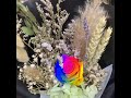 Preserved Rainbow Rose Flower Bouquet | Huamama