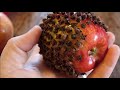 put cloves in an apple and see what happens