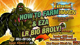 LR Bio Broly Farming \u0026 EZA Guide! The Immortal Bio-Warrior! (DBZ: Dokkan Battle)