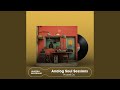 Vinyl Dust Memory