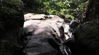 Natural Waterfall in Sinharaja Rainforest Deniyaya