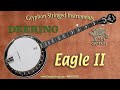 deering eagle ii banjo demonstrated by larry chung