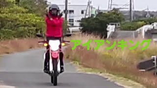 【バイク変身やってみた #48】アイアンキング