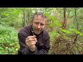 foraging for beginners episode 3 part 1. wild mushrooms.