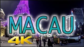 Macau at Night Cotai Strip 4K HD