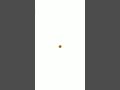 Sunflower using Python turtle | Graphic Design #pythonshorts #codingshorts #pythonprojects #python