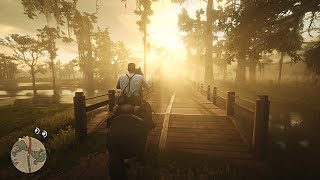 ★ Red Dead Redemption 2 - 4k 60fps HDR Photorealitic Graphics Mod - 2x RTX 2080 Ti Gameplay!