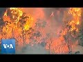 Bushfires Rage in Australia