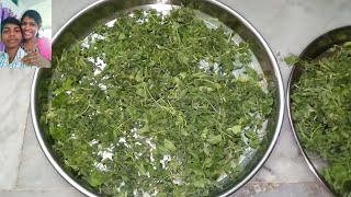 కస్తూరి మేతి ఇంట్లో తయారు చేసుకోండి | how to make kasturi methi at home