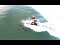 Surfer Paddles Directly Over Great White Shark