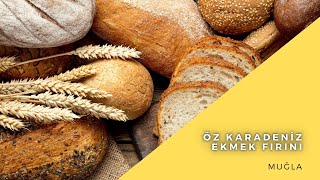 ÖZ KARADENİZ EKMEK FIRINI | EUROSTAR TV \