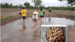 ฝนตกรินสองเขยพาเลาะท่งหาเก็บหอยโข่ง(หอยนา)เก็บตั๊กแตนได้หลายเกินคาด