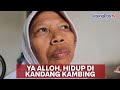 DITINGGAL SUAMI NIKAH LAGI | JATENGPOS TV