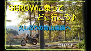 2022　コスモスから青山高原へ　セローに乗ってリハビリツーリング