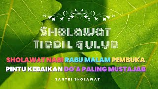 Sholawat Tibbil Qulub merdu dan menyentuh di hati