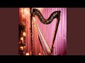 Quiet Reflections