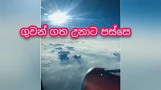 ඔයා ඔයාගේ ගමන කොහොම හරි ජයගන්න වැඩ කරන්න