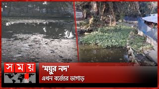 অস্তিত্ব সংকটে খুলনার একাধিক নদী, উচ্ছেদে অনীহা কর্তৃপক্ষের! | Khulna News | Bagerhat News | River