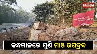 Kandhamal: Maoists poster surfaces in Baliguda, Urge locals to not vote | Kalinga TV