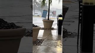 Florida Man Witnesses Unbelievable Porta Potty Phenomenon #parody Humor 🌀😰 Hurricane Helene