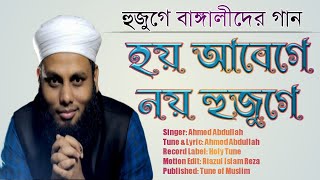 হয় আবেগে নয় হুজুগে|হুজুগে বাঙ্গালীদের সংগীত|Ahmod Abdullah Kalarab Song|Bangla Song|Tune of Muslim