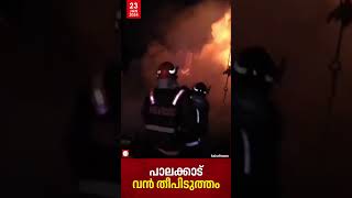 പാലക്കാട് മരമില്ലിൽ വൻ തീപിടുത്തം | Palakkad | Cherpulassery