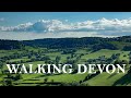 Devon Walks: A beautiful day for a walk in East Devon