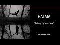 Halma - Driving by Numbers