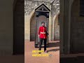 british sikh guard standing still at windsor castle 🇬🇧