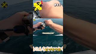 #明石ジギング #青物 #ハマチ #釣り #釣り初心者 #fishingvideo #short #shorts