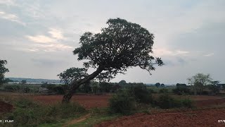 ಶ್ರೀ ಗೌರಮ್ಮನವರು ತವರುಮನೆ ಶ್ರೀ ಕ್ಷೇತ್ರ ಹಿರೇಮಠ ಗುಮ್ಮಳಾಪುರ ಆನೇಕಲ್ ತಾಲೂಕು ಗಡಿಭಾಗ 2019ರ ಹಳೆಯ ವಿಡಿಯೋ