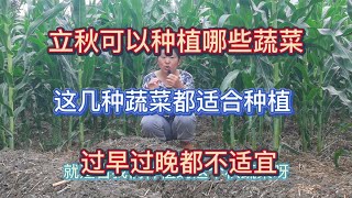 哪些蔬菜可以在立秋種植？這5種蔬菜都適宜放心種植，過早過晚都不合適