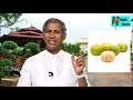 ఈ పండ్లు తింటే మీ పొట్ట క్లీన్ body cleaning home remedies manthena satyanarayana raju health mantra