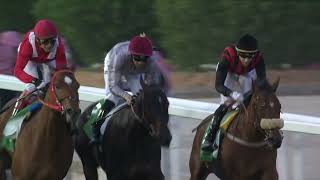 Race 5 Replay - Saudi International Handicap presented by NHC - Sat 22nd February