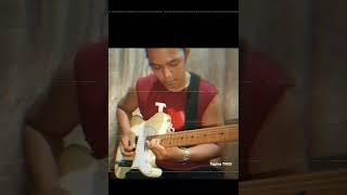 GUITAR SOLO COVER. Tagima TW55