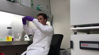 This is Biomedical Engineering, episode 1, Creating cardiac tissue to repair damaged heart muscle.
