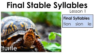 Final Stable Syllables - tion, sion le - Lesson 1